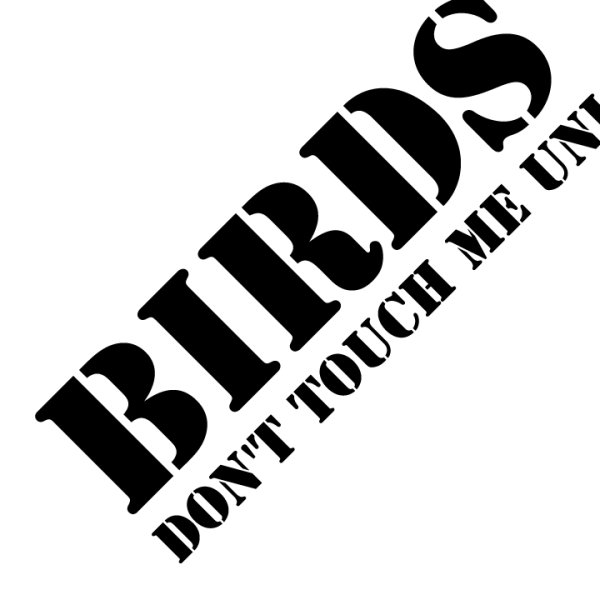 画像1: BIRDS OF PREY【 カッティングステッカー 】ブラック【L】 (1)