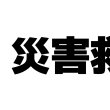画像1: 災害救助犬輸送中【 カッティングステッカー 】ブラック (1)