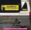 画像3: 【 STOP！ROADKILL 】横型ステッカー★タヌキ  (3)