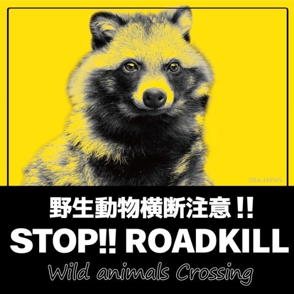 画像1: 【 STOP！ROADKILL 】正方形ステッカー★タヌキ  (1)