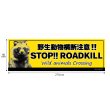 画像2: 【 STOP！ROADKILL 】横型ステッカー★タヌキ  (2)