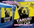 画像3: 【 TANUKI IN CAR 】マグネットステッカー★タヌキ  (3)
