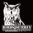 画像1: BIRDS OF PREY クリアステッカー ベンガルワシミミズクver.【XL】 (1)