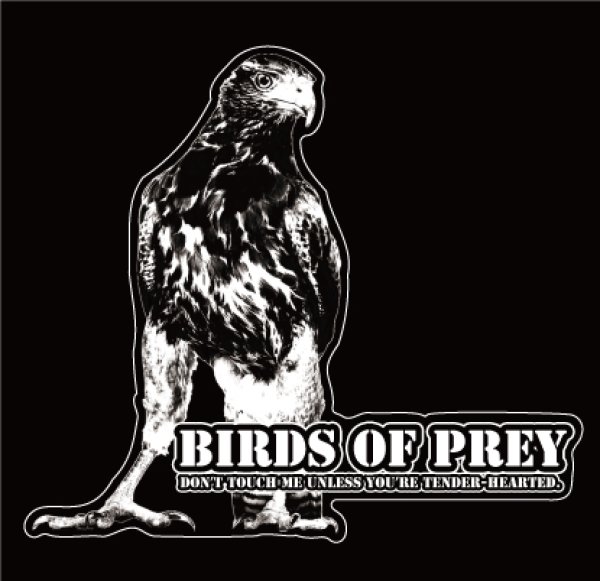画像1: BIRDS OF PREY クリアステッカー ハリスホークver.【XL】 (1)
