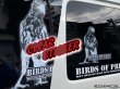 画像4: BIRDS OF PREY クリアステッカー ハリスホークver.【XL】 (4)