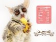 画像5: ◆完熟パイナップルのドライフルーツ◆ペット・動物用◆ (5)