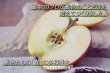 画像4: ◆国産りんごのドライフルーツ◆ペット・動物用◆ (4)