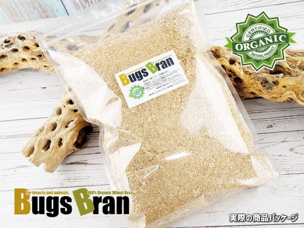 画像1: Bugs Bran（バグズブラン）500g 昆虫養殖/飼育用/小麦フスマ (1)