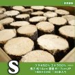 画像2: 産卵木【S】クワガタ繁殖用ホダ木 28〜30本入 【送料無料】 (2)