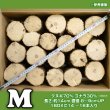 画像1: 産卵木【M】クワガタ繁殖用ホダ木 14〜16本入 【送料無料】 (1)