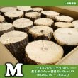画像2: 産卵木【M】クワガタ繁殖用ホダ木 14〜16本入 【送料無料】 (2)