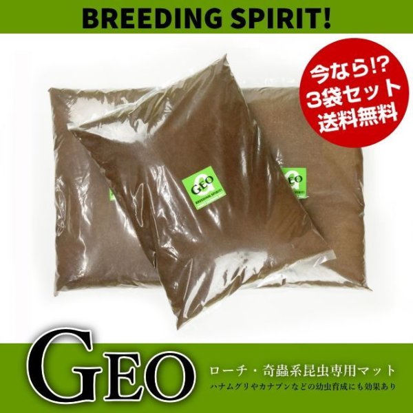 画像1: Geo/ローチ・奇蟲系昆虫専用マット/3袋セット 【送料無料】 (1)