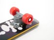 画像4: 知能開発/教育玩具:インコ・オウム用ミニスケートボード (4)