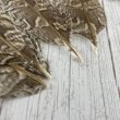 画像4: ★アウトレット品★カラフトフクロウの羽 8本セット (4)