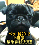 2011年12月3日 Now on sale!