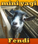 2012年11月1日 Now on sale!