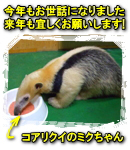 2010年12月19日 Now on sale!