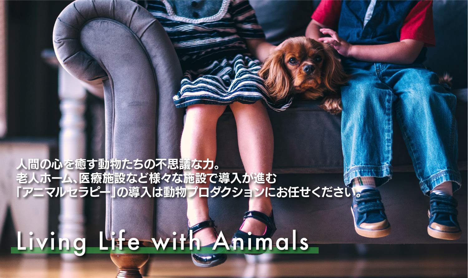 動物介在療法・動物介在活動・動物介在教育